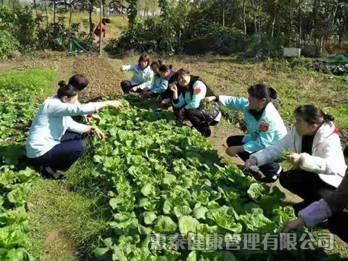 員工團建活動，自己摘菜做飯